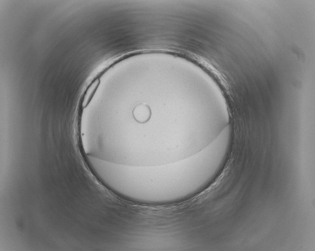 X0000115451469200912161504