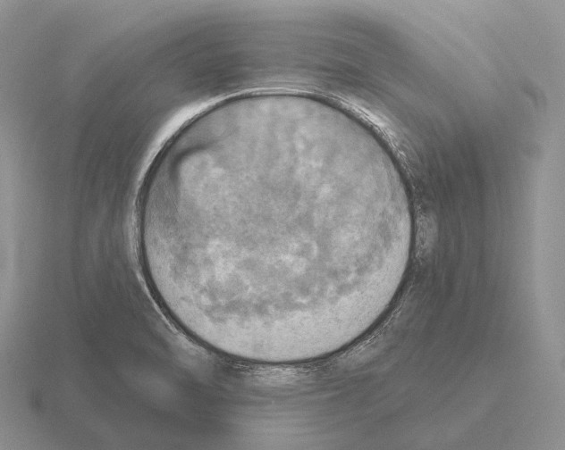 X0000115451470200912161504