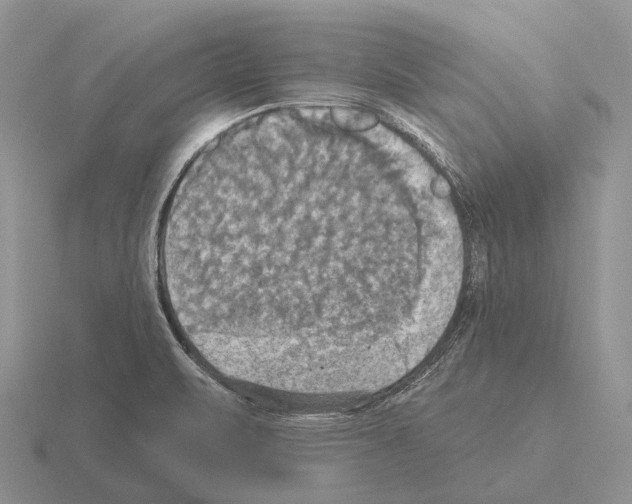 X0000115451471200912161504