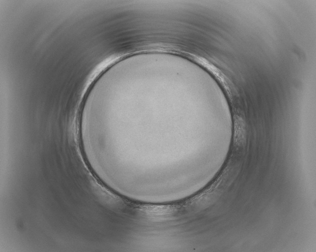 X0000115451474200912161504