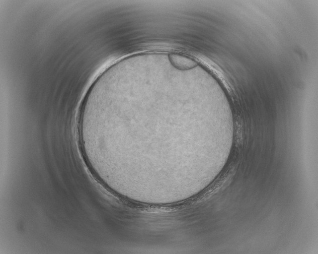 X0000115451475200912161504