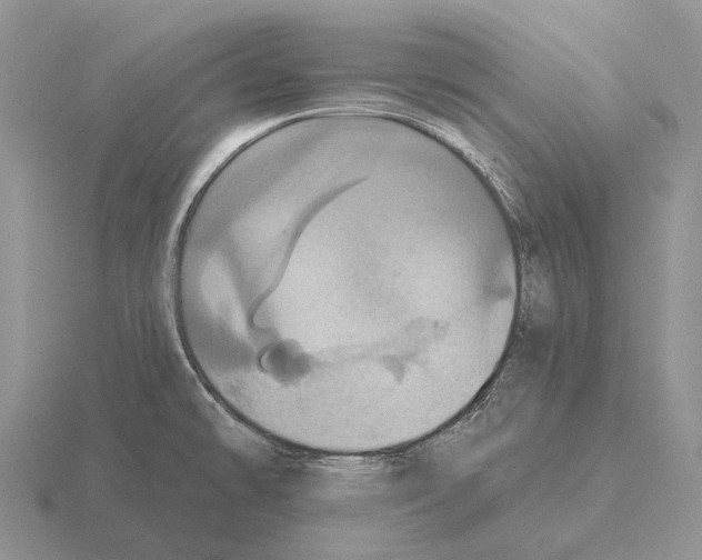 X0000115451478200912161504