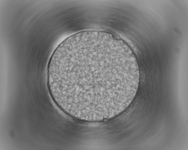 X0000115451479200912161504