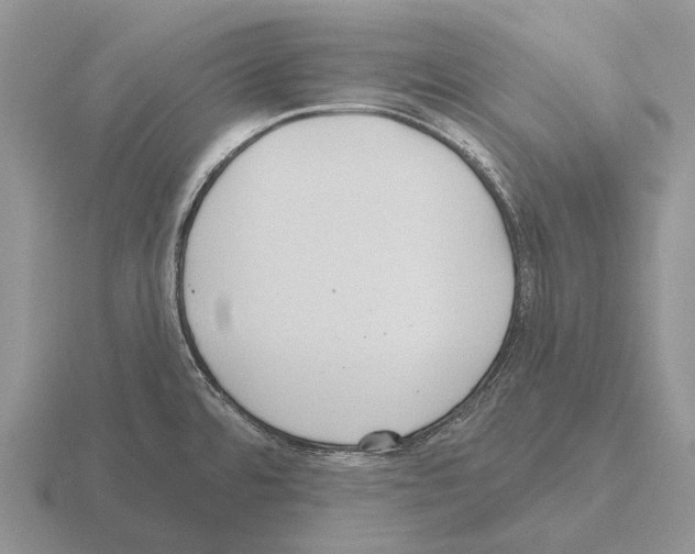 X0000115451480200912161504