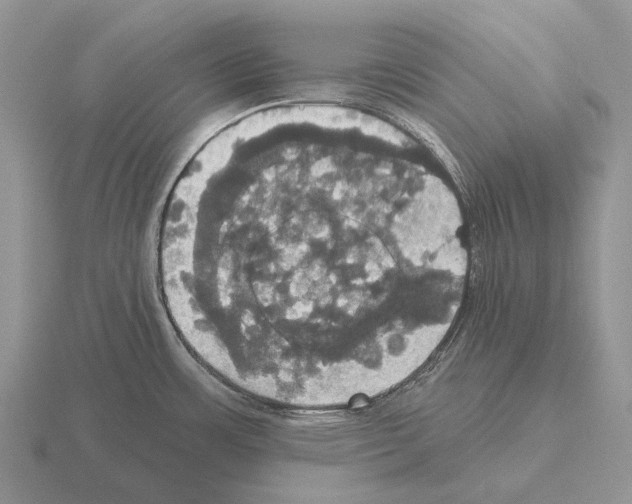 X0000115451483200912161504