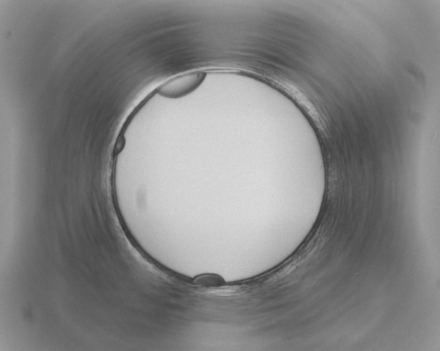 X0000115451484200912161504