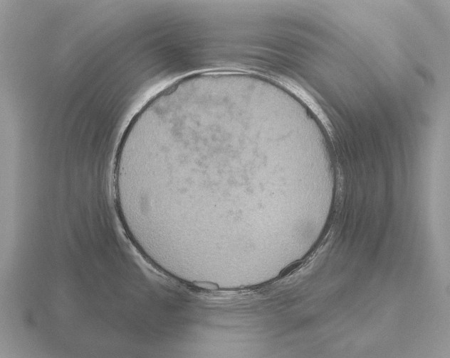 X0000115451485200912161504