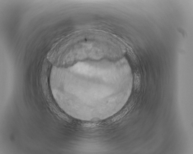 X0000115451489200912161503