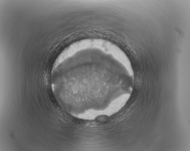 X0000115451490200912161503