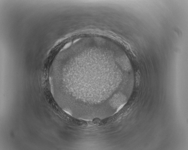 X0000115451494200912161504