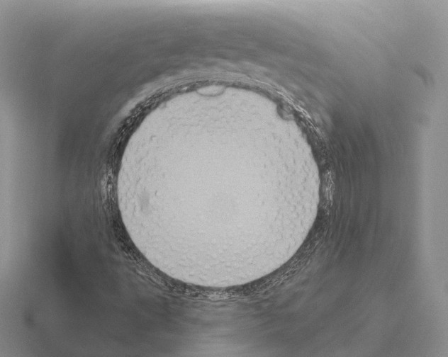 X0000115451495200912161504