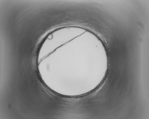 X0000115451502200912161504