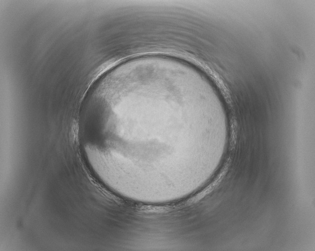 X0000115451505200912161504