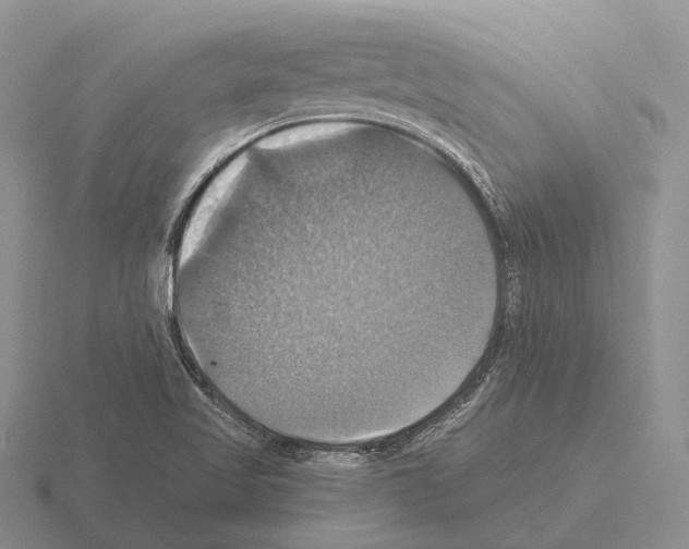 X0000115451509200912161504