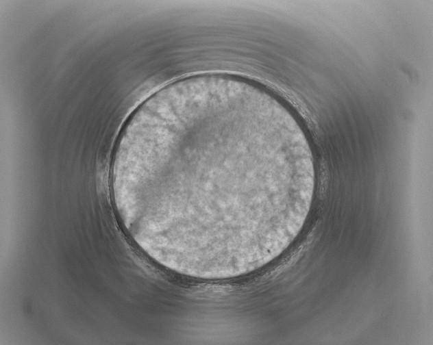 X0000115451513200912161504