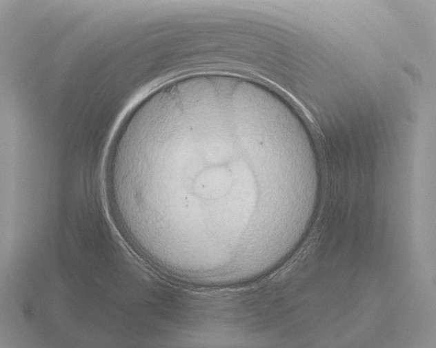 X0000115451514200912161504