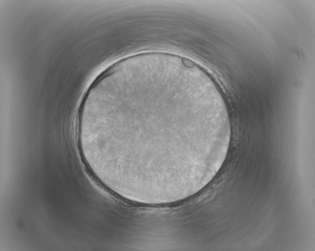 X0000115451519200912161504