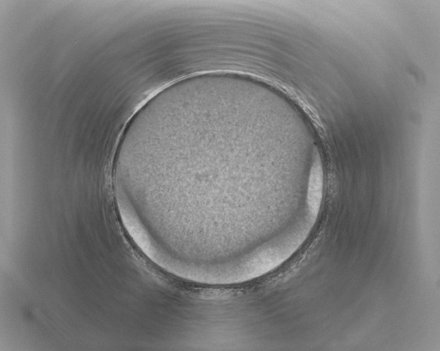 X0000115451521200912161504