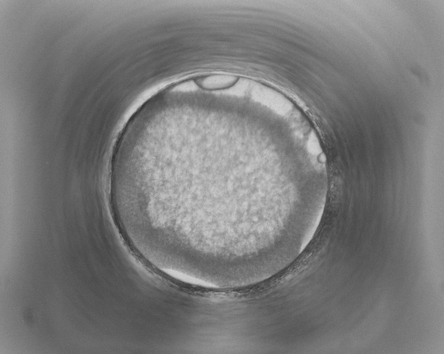 X0000115451523200912161504