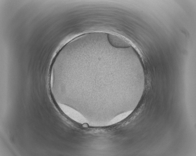 X0000115451525200912161504