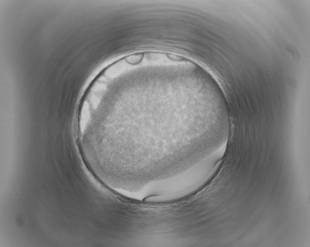 X0000115451531200912161504