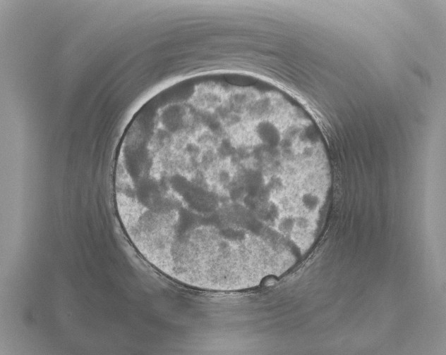 X0000115451534200912161504