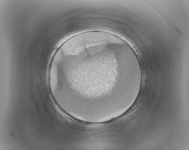 X0000115451535200912161504