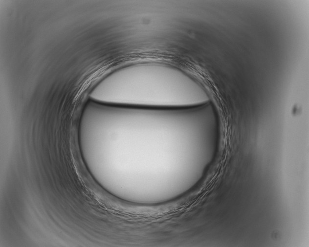X0000115480001200911061035
