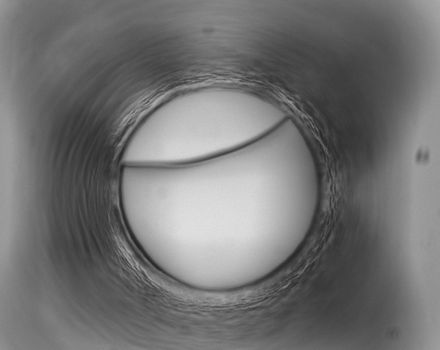 X0000115480002200911061035