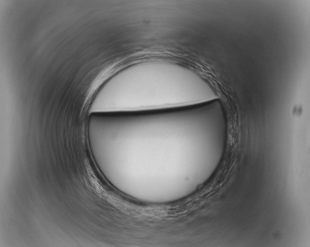 X0000115480004200911061035