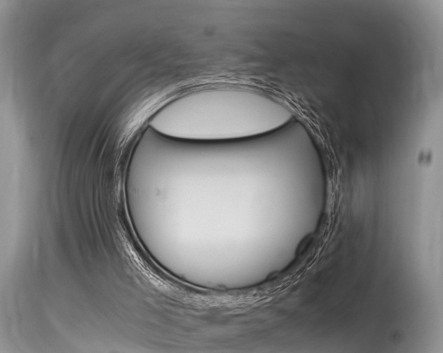 X0000115480005200911061035