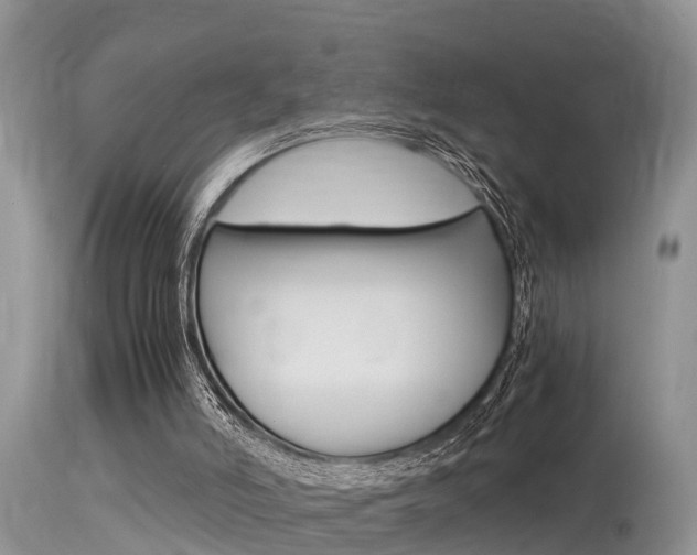 X0000115480006200911061035
