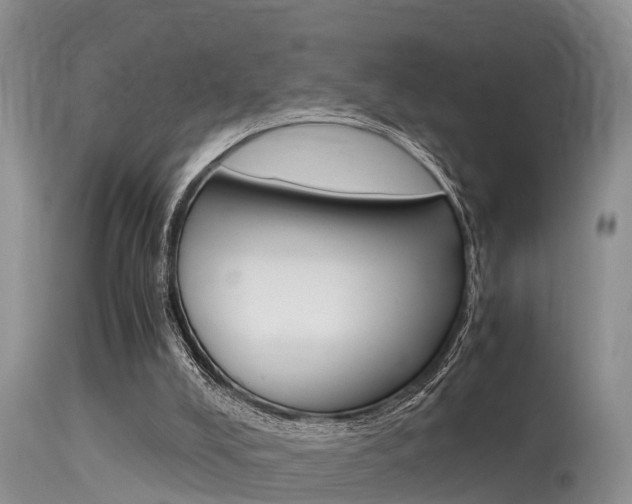 X0000115480008200911061035