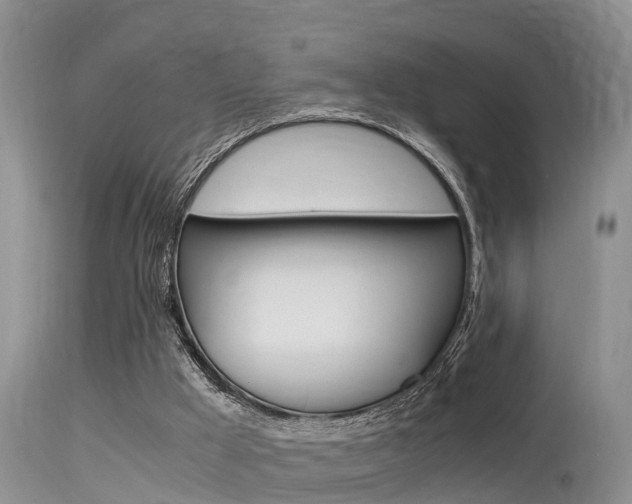 X0000115480009200911061035