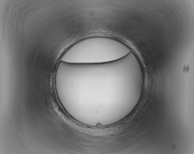 X0000115480010200911061035