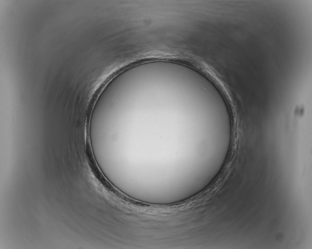 X0000115480011200911061035