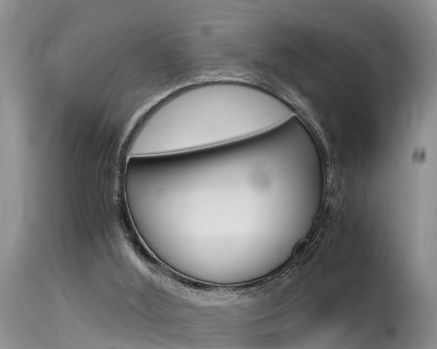 X0000115480012200911061035