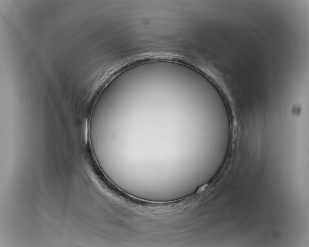 X0000115480013200911061035