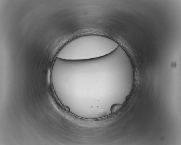 X0000115480014200911061035