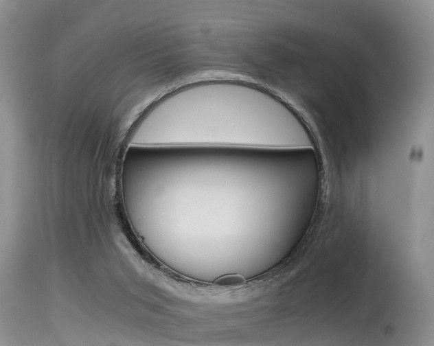 X0000115480015200911061035