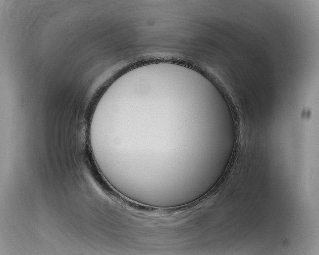 X0000115480016200911061035