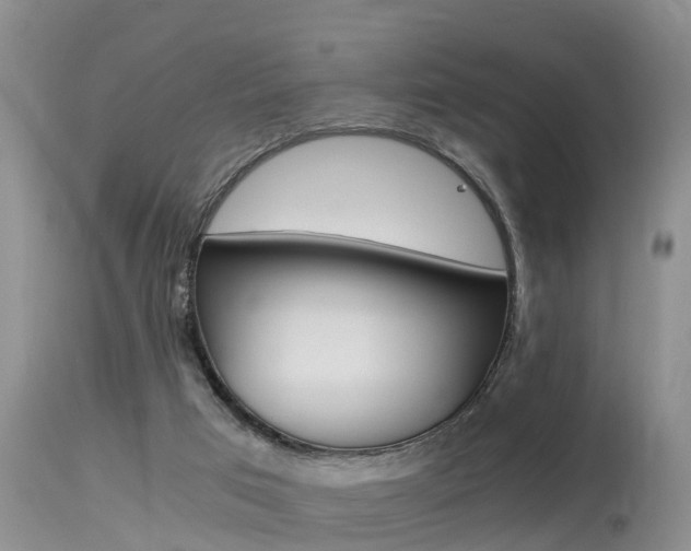 X0000115480017200911061035