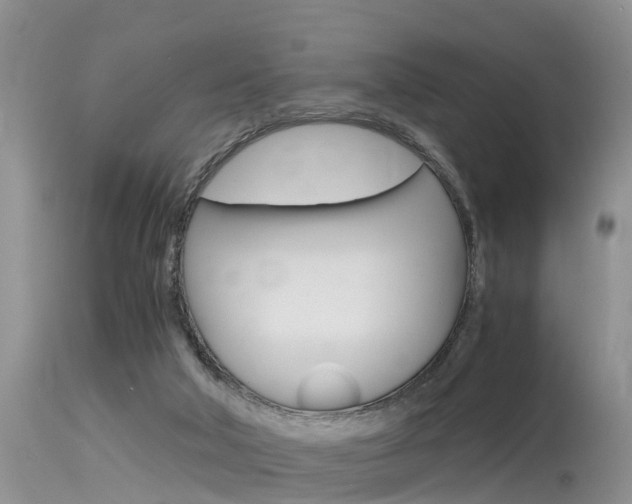 X0000115480018200911061035