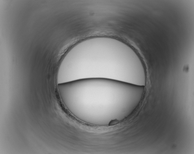 X0000115480019200911061035