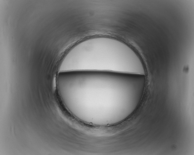 X0000115480020200911061035