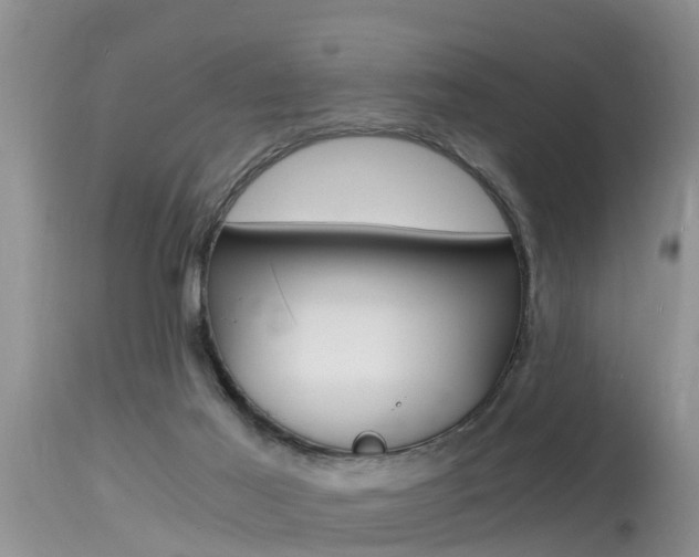 X0000115480021200911061035