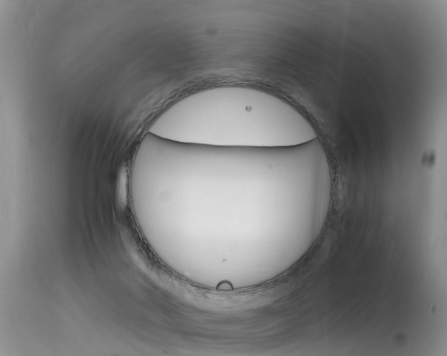 X0000115480022200911061035