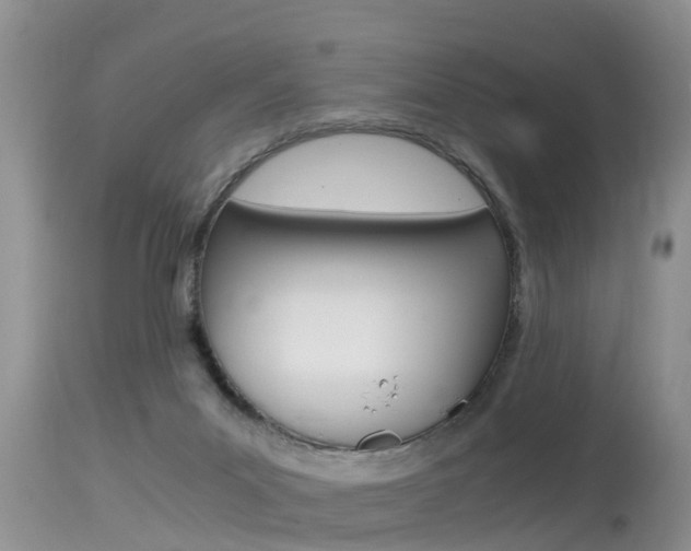 X0000115480023200911061035