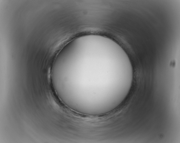 X0000115480024200911061035