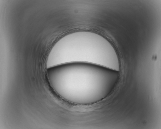 X0000115480025200911061035